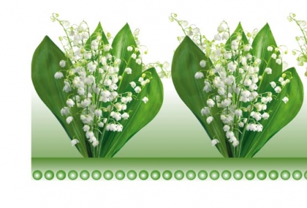 Photoshop floral border frame design