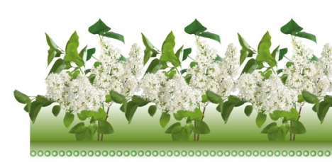 Photoshop floral border frame template