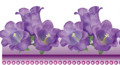 Psd floral border frame