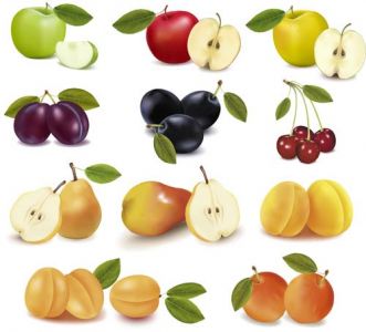 Realistic fruits vectors