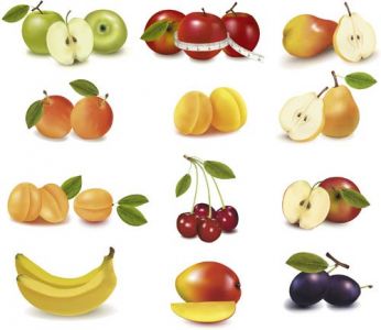 Realistic fruits vectors