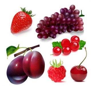 Realistic fruits vectors