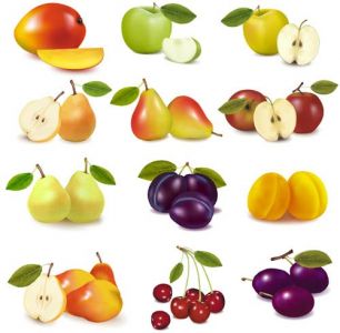 Realistic fruits vectors