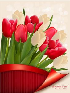 Red and white tulips on vector cards