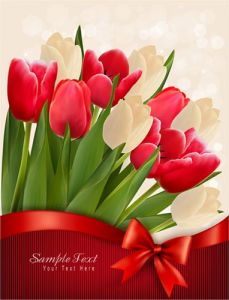 Red and white tulips on vector cards