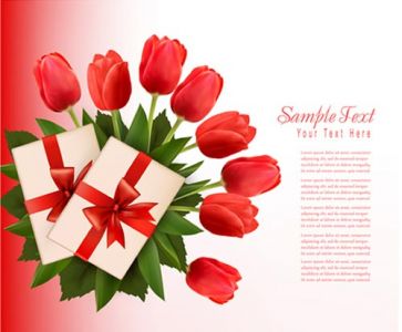 Red and white tulips on vector cards