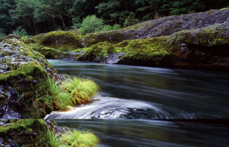 Rivers and nature wallpaper