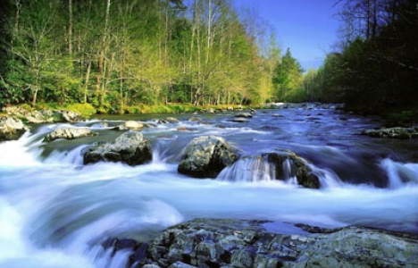 Rivers and nature wallpaper