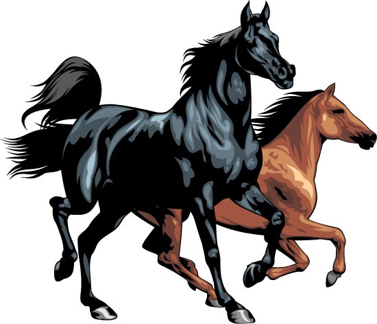 Running horses vector  illustrations