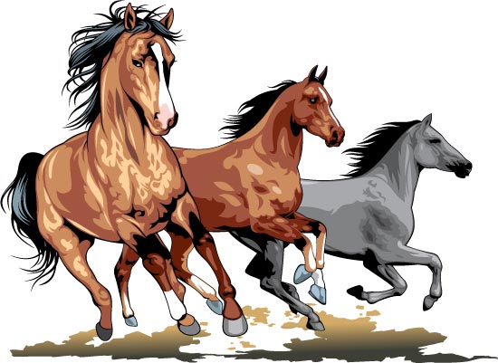 Running Horses Vector Illustrations