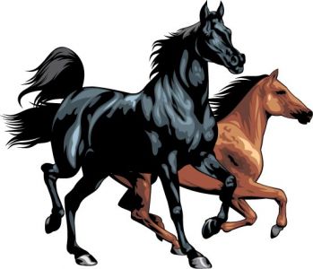 Running horses vector illustrations