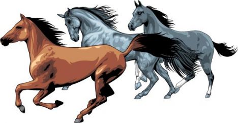 Running horses vector illustrations