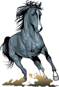 Running horses vector illustrations