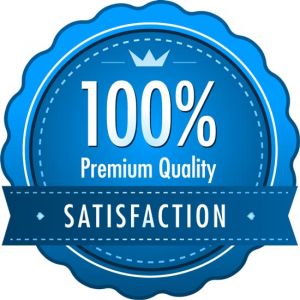 Satisfaction guarantee blue vector labels