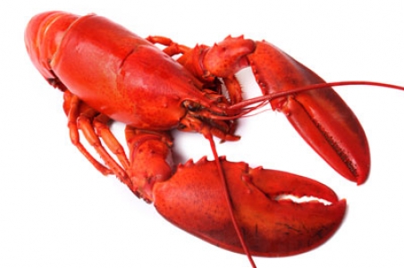 Seafood and lobsters image