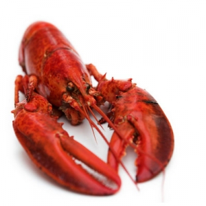 Seafood and lobsters image