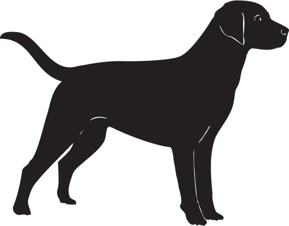 Download Dog silhouette vector