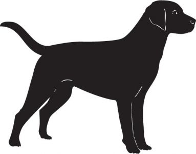 Short haired dogs vector silhouettes