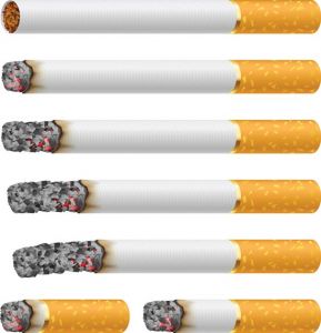 Smoking and no-smoking vector ciggarettes