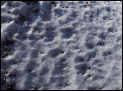 Snow texture design