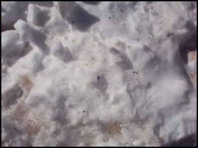 Snow texture background