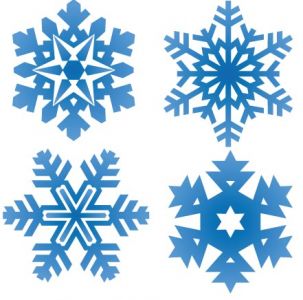 Snowflake pattern shape vector