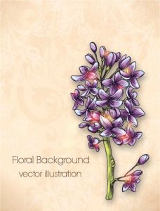 Spring floral background vector illustration