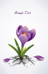 spring-floral-card-vector4