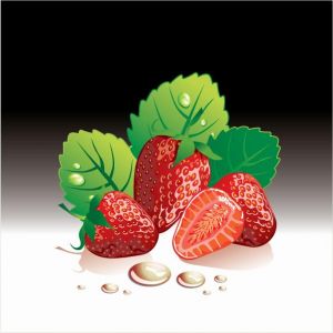 Strawberries and milk vector posters