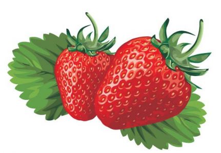 Strawberries and milk vector posters