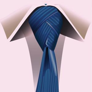 Ties and knots vector models