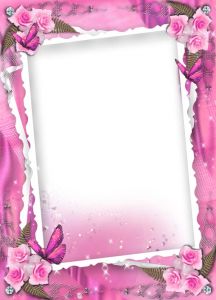 transparent-pink-wedding-frame-with-roses1