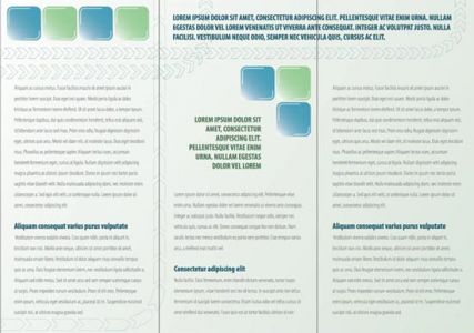 Tri fold corporate brochure design