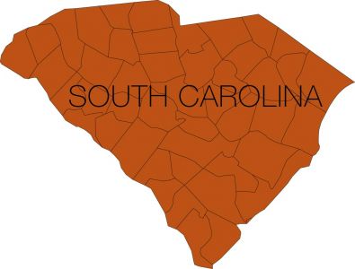 south carolina region with counties vector