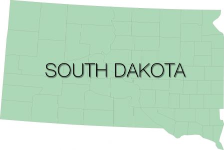 south dakota region with counties vector