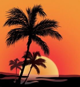 beach-with-palm-trees-vector2