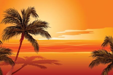 beach-with-palm-trees-vector3