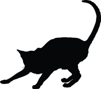 Vector cats silhouette shapes