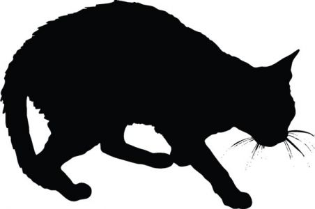 Vector cats silhouette shapes