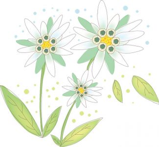 Vector hand-drawn sketches of spring flowers