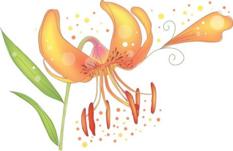 Vector hand-drawn sketches of spring flowers