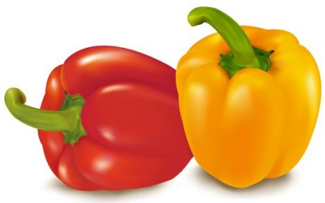 Vegetable pepper vector