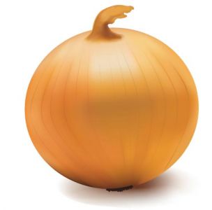 Vegetable onion vector