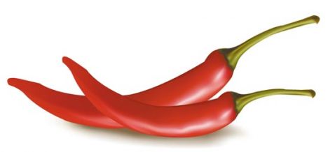 Vegetable chili vector