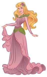 Walt Disney Princess vector