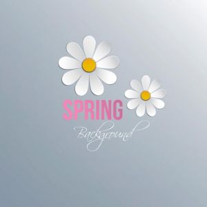 Abstract spring background with paper flowers. Vector