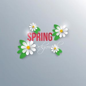 Abstract spring background with paper flowers. Vector