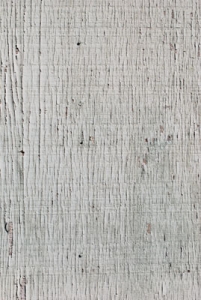 Wood texture from backyard