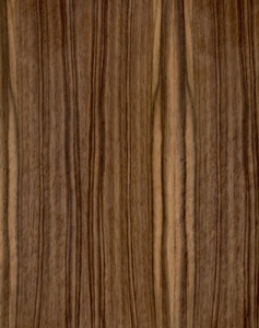 Wood texture