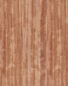 Wood texture